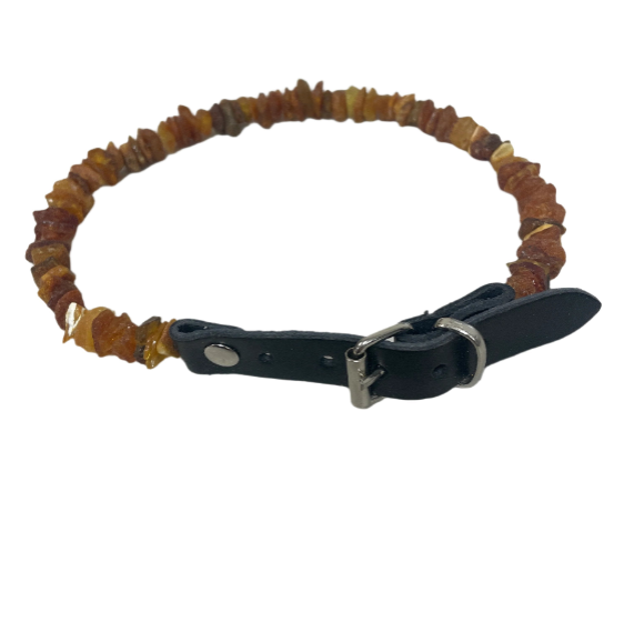 Amber Pet Collars – Natural Flea & Tick Prevention for Dogs and Cats