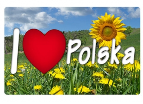 3D magnet Poland - meadow