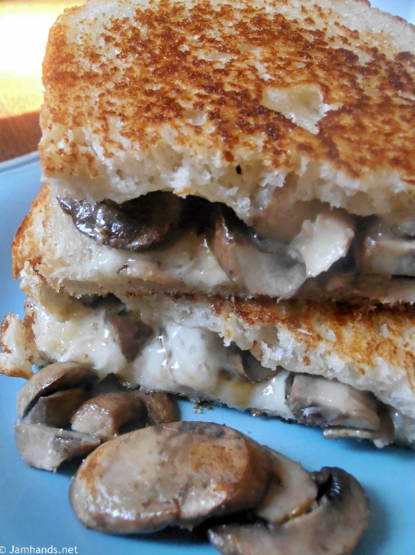 D4 Mushroom Melt