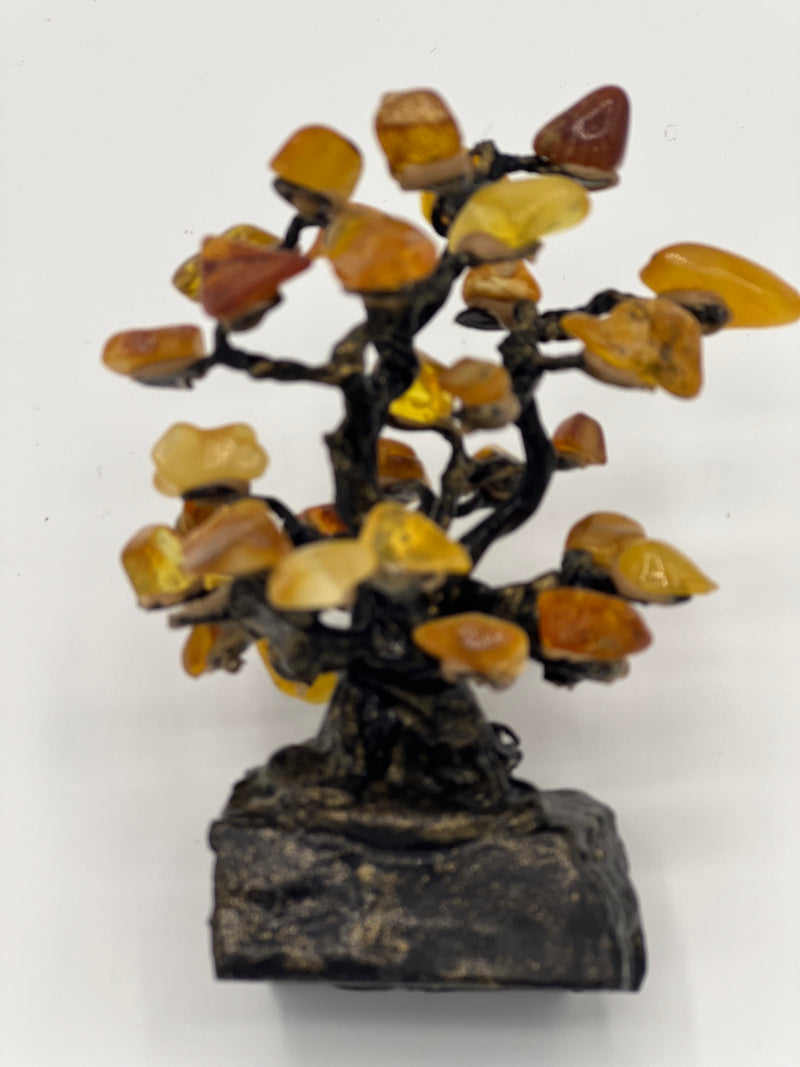 Amber tree