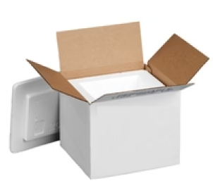 [Required] Shipping Cooler With Dry Ice