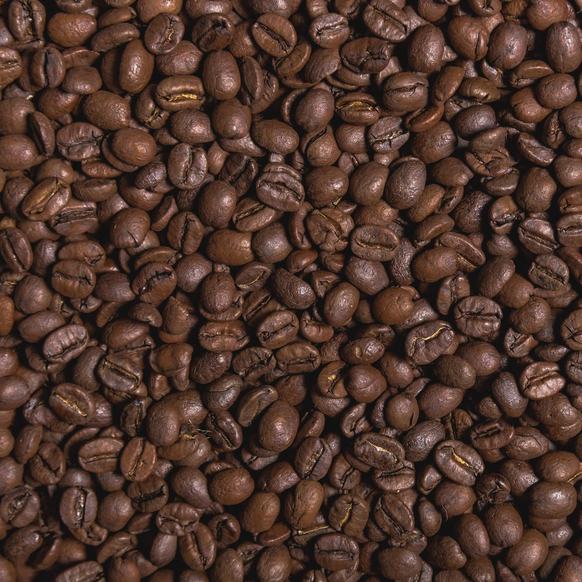 Close up of dark roast arabica ground coffee texture
