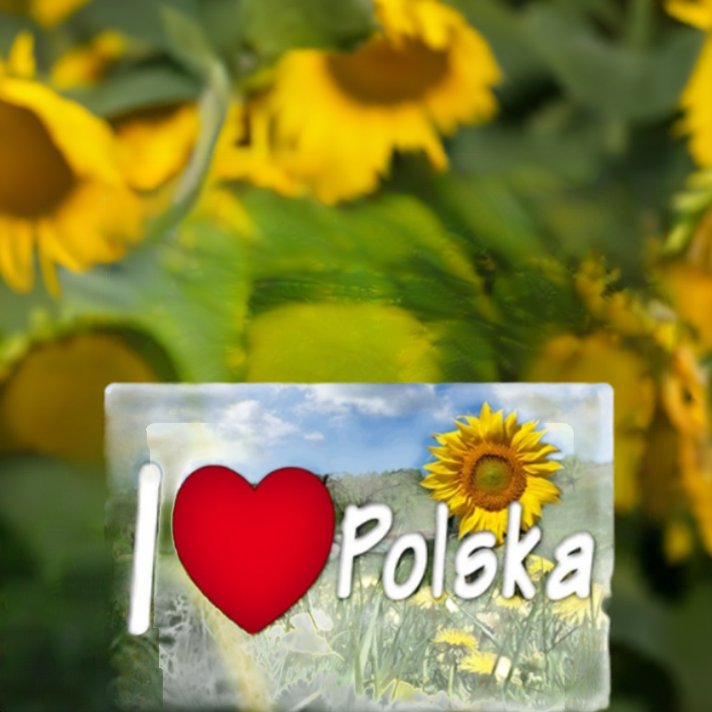 3D magnet Poland - meadow